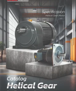Helical Gear Motor / ฮิลิคอลเกียร์