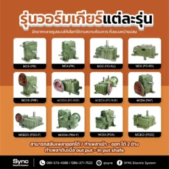Worm Gear Reducer / เวอร์มเกียร์เหล็กหล่อ
