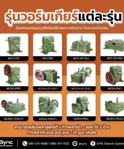 Worm Gear Reducer / เวอร์มเกียร์เหล็กหล่อ